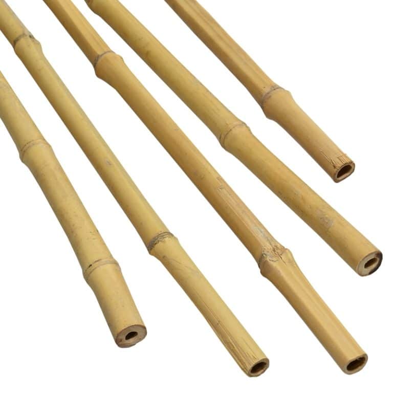 Bamboo Stakes