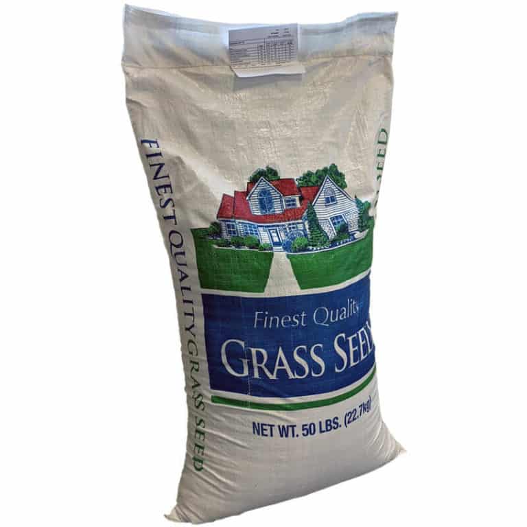 Grass Seed
